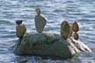 Balanced Stones, English Bay