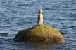 Balanced Stones, English Bay