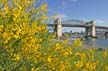 Burrard Bridge, False Creek