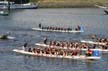 Dragon Boat Festival, False Creek