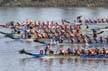 Dragon Boat Festival, False Creek