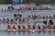 Dragon Boat Festival, False Creek