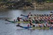 Dragon Boat Festival, False Creek