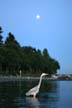 Second Beach, Stanley Park