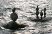 Balanced Stones, English Bay