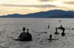 Balanced Stones, English Bay