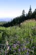 Grouse Mountain, North Shore