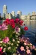 Burrard Inlet., Canada Stock Photographs