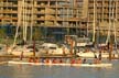 False Creek, Downtown Vancouver