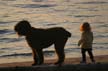 Dog And Kid, Canada Stock Photos