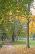 Fall?, Canada Stock Photos