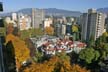 Autumn Leaves, Vancouver Nature