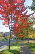 Fall?, Canada Stock Photos