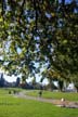 Fall Pictures, Vancouver Parks