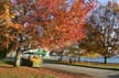 Fall?, Canada Stock Photos