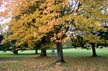 Fall, Canada Stock Photos