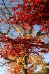 Fall, Canada Stock Photos