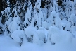 Cypresses Park, Canada Stock Photos