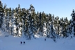 Cypresses Park, Canada Stock Photos