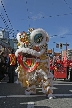 Chinese New Year, Canada Stock Photographs