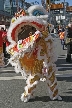 Chinese New Year, Canada Stock Photographs