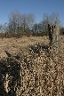 Burnaby Lake, Canada Stock Photos