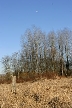 Burnaby Lake, Canada Stock Photos