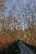 Burnaby Lake, Canada Stock Photos