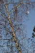 Burnaby Lake, Canada Stock Photos