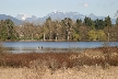 Burnaby Lake, Canada Stock Photos