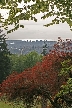 Burnaby Mountain Park, Canada Stock Photos