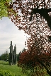 Burnaby Mountain Park, Canada Stock Photos