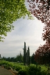 Burnaby Mountain Park, Canada Stock Photos