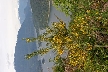 Anvil Island View, Canada Stock Photos