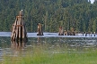 Barnet Marine Park, Canada Stock Photos