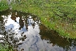 Vancouver Parks, Canada Stock Photos