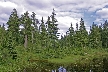 Vancouver Parks, Canada Stock Photos