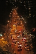 Bright Nights In Stanley Park, Canada Stock Photographs