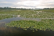 Burnaby Deer Lake, Canada Stock Photos