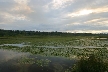 Burnaby Deer Lake, Canada Stock Photos