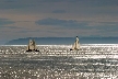 White Rock, Canada Stock Photos