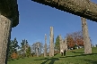 Burnaby Mountain Park, Canada Stock Photos