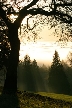 Burnaby Mountain Park In Myst, Canada Stock Photos