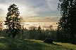 Burnaby Mountain Park, British Columbia