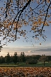 Burnaby Mountain Park, British Columbia