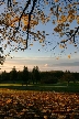 Burnaby Mountain Park, British Columbia