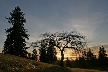 Burnaby Mountain Park, British Columbia