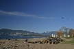 Logs At Kitsilano Beach, Canada Stock Photos