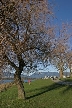 Fall At Kitsilano, Canada Stock Photos