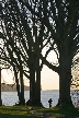 Silhouette Of Trees At Stanley Park, Canada Stock Photos